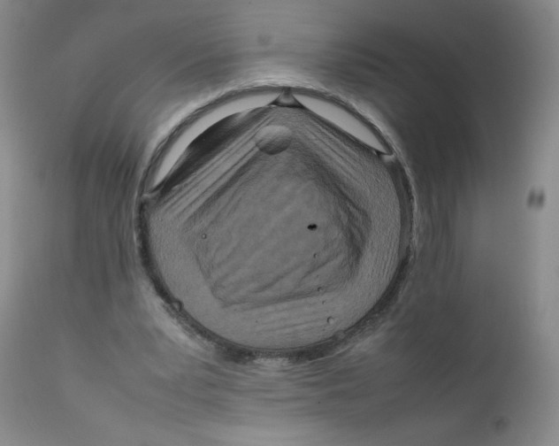 X0000111900391200908241008