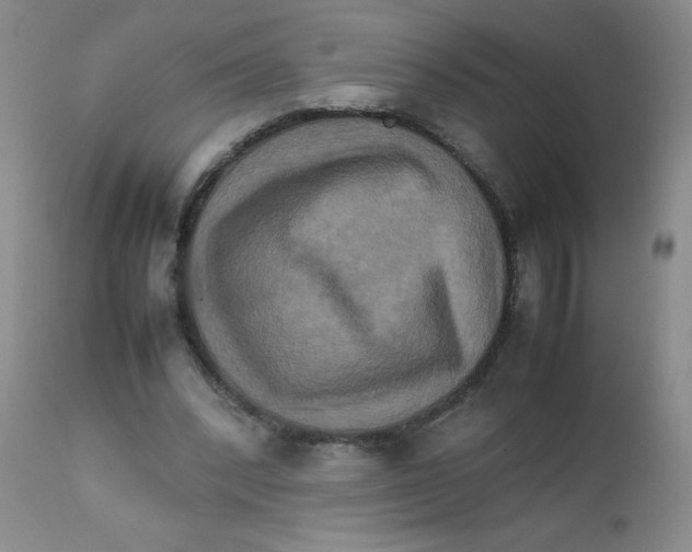 X0000111900392200908241008