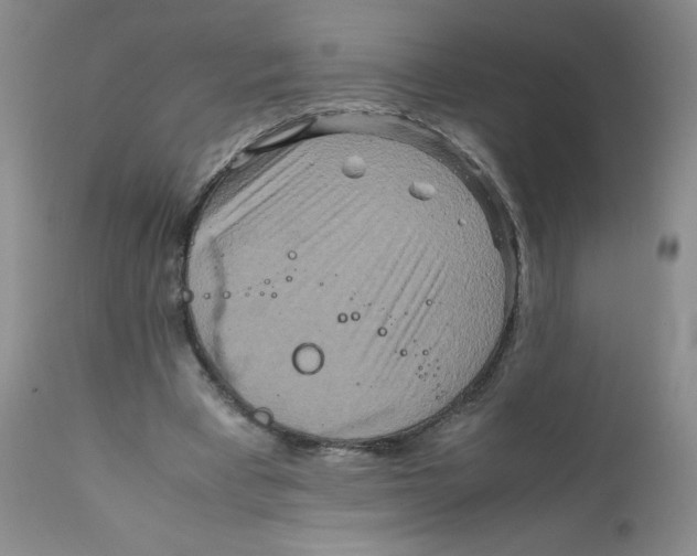 X0000111900393200908241008