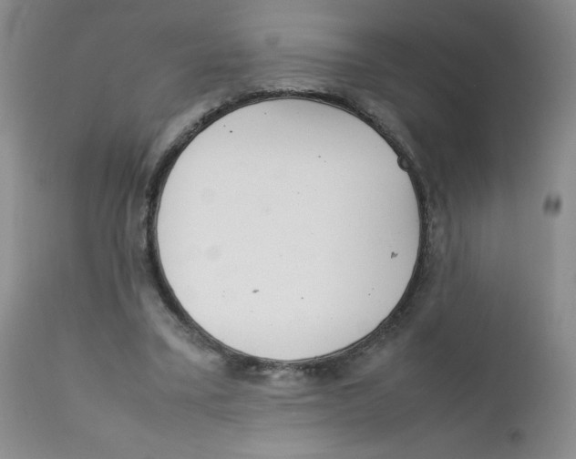 X0000111900395200908241008