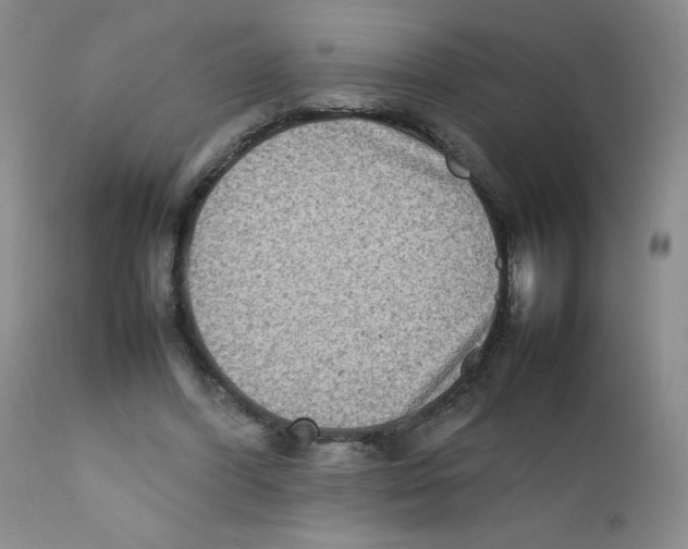 X0000111900396200908241008