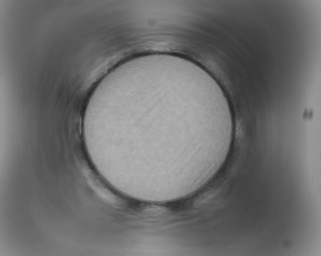 X0000111900397200908241008