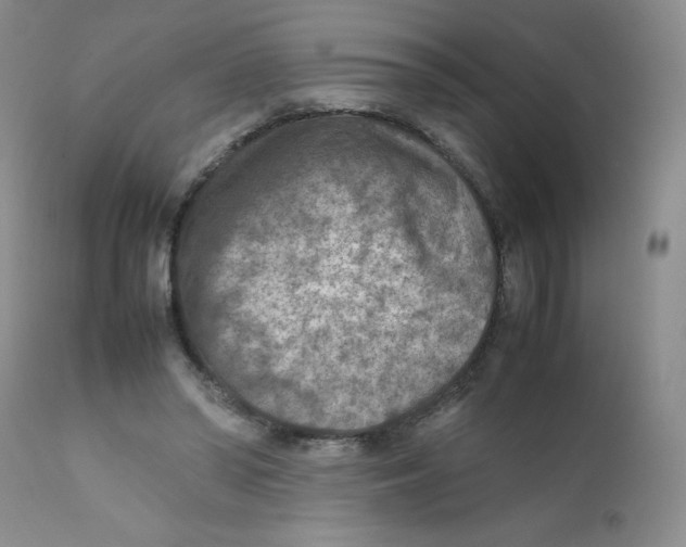 X0000111900398200908241008