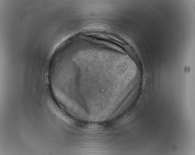 X0000111900399200908241007