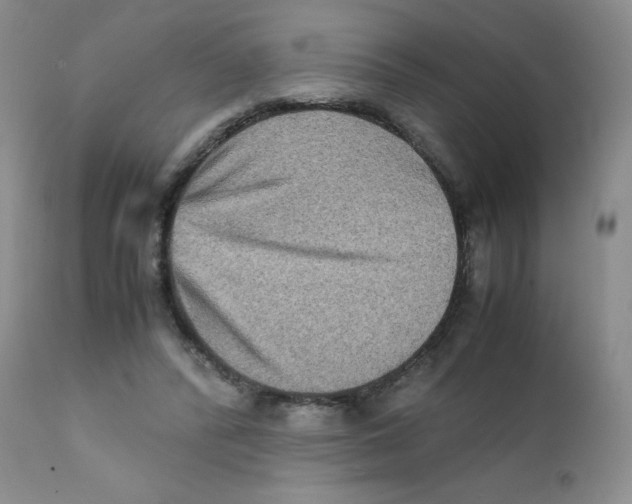 X0000111900400200908241007