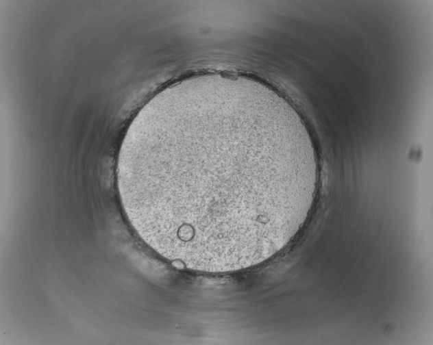 X0000111900401200908241007