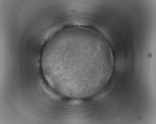 X0000111900402200908241007