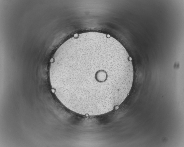 X0000111900403200908241007