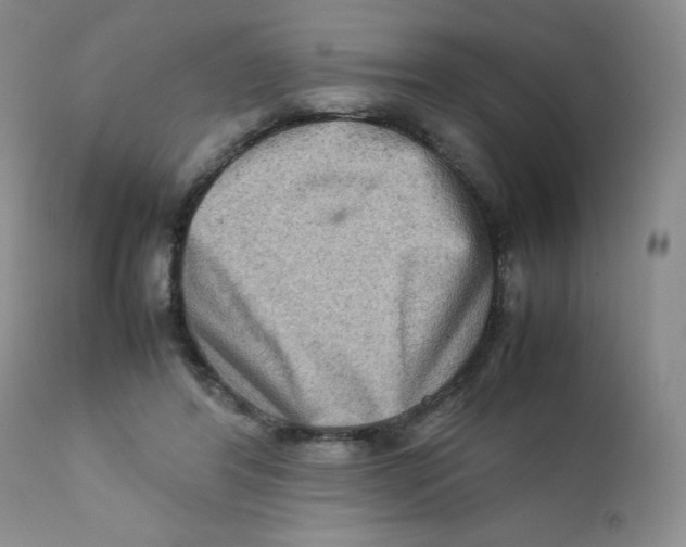 X0000111900404200908241007