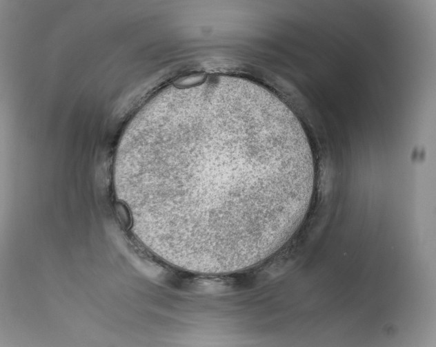 X0000111900405200908241007