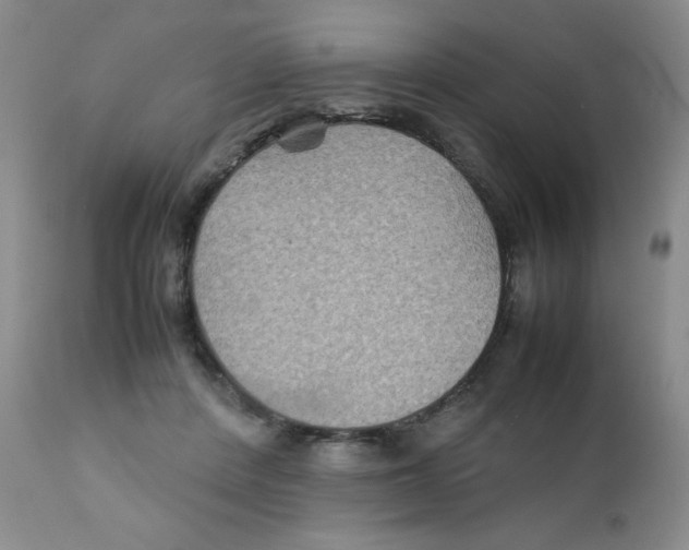 X0000111900408200908241007