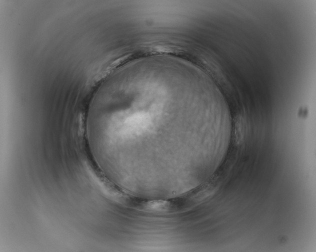 X0000111900410200908241007