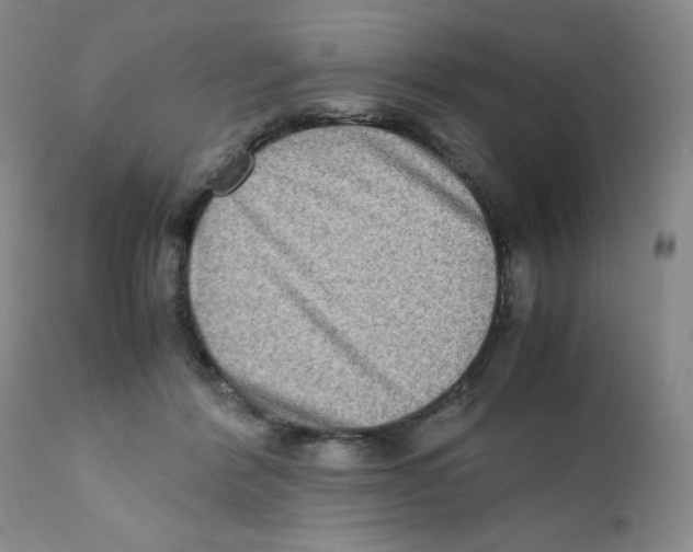 X0000111900412200908241007