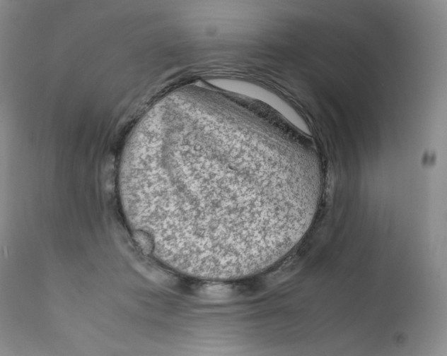 X0000111900413200908241007