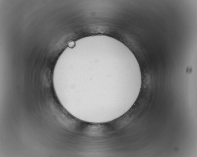 X0000111900414200908241007