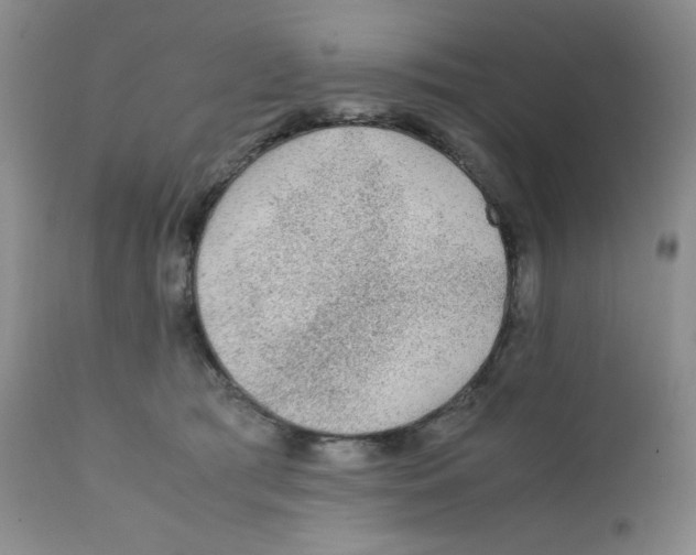 X0000111900417200908241007