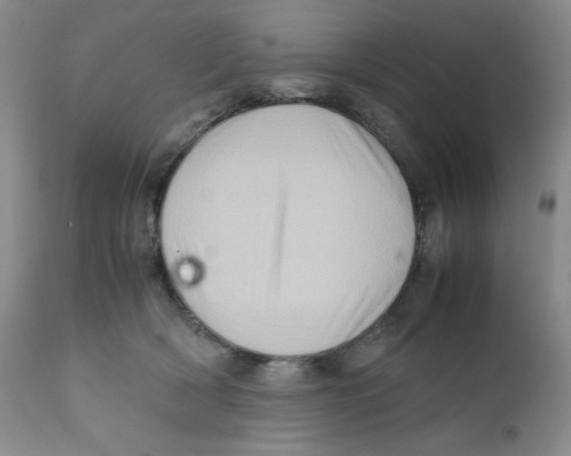 X0000111900418200908241007