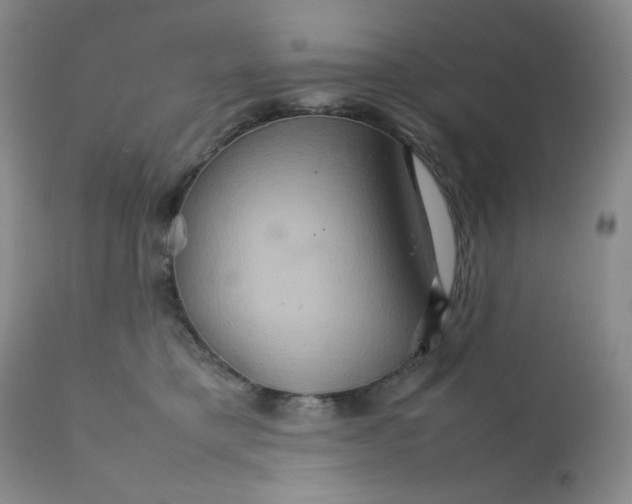 X0000111900421200908241007