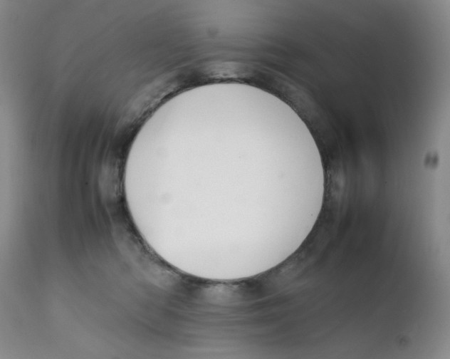 X0000111900422200908241007