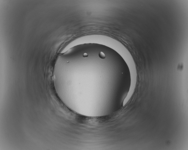 X0000111900423200908241007