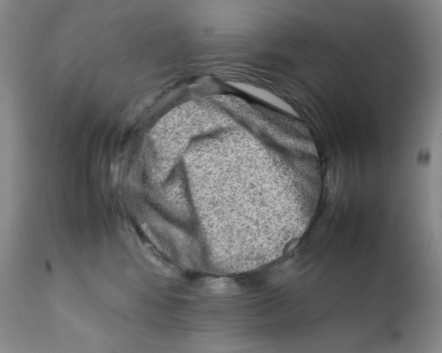 X0000111900424200908241007