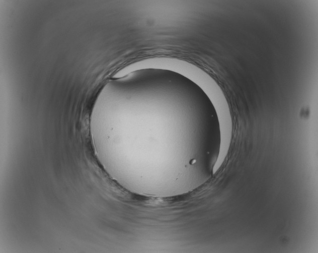 X0000111900425200908241007