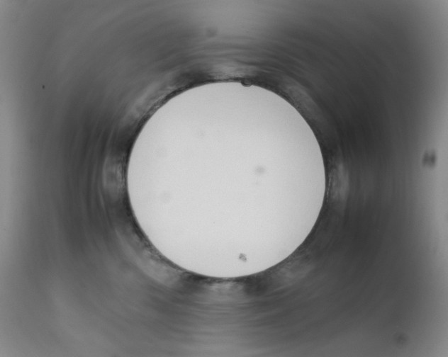 X0000111900426200908241007