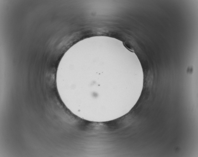 X0000111900427200908241007