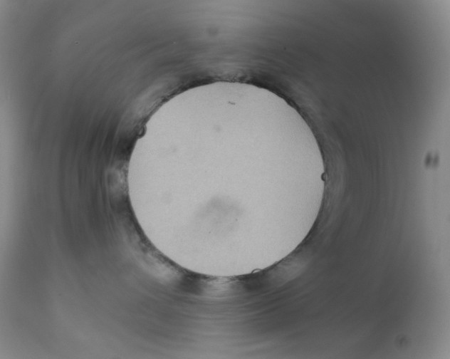 X0000111900432200908241007