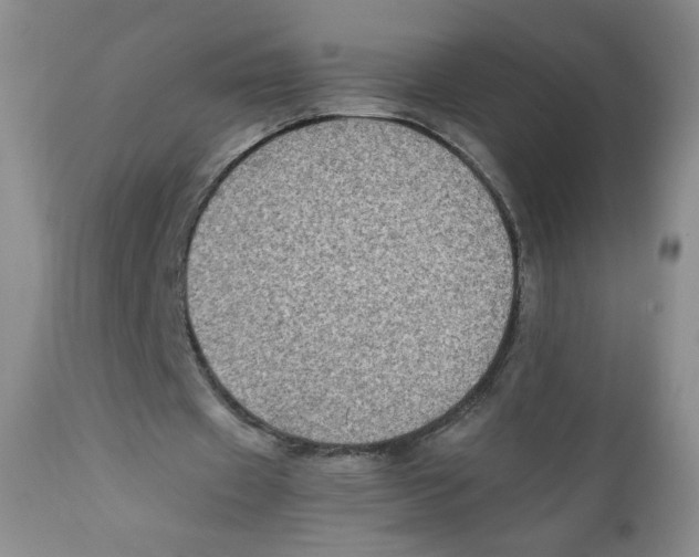 X0000111900433200908241006