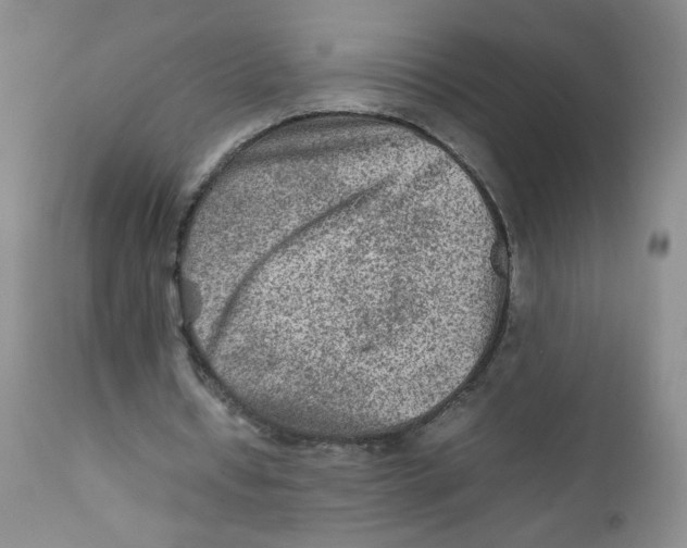 X0000111900434200908241006