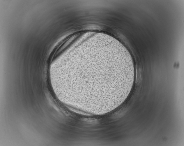 X0000111900435200908241006