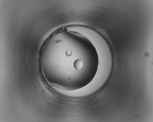 X0000111900436200908241006