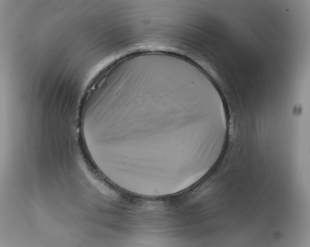 X0000111900438200908241006