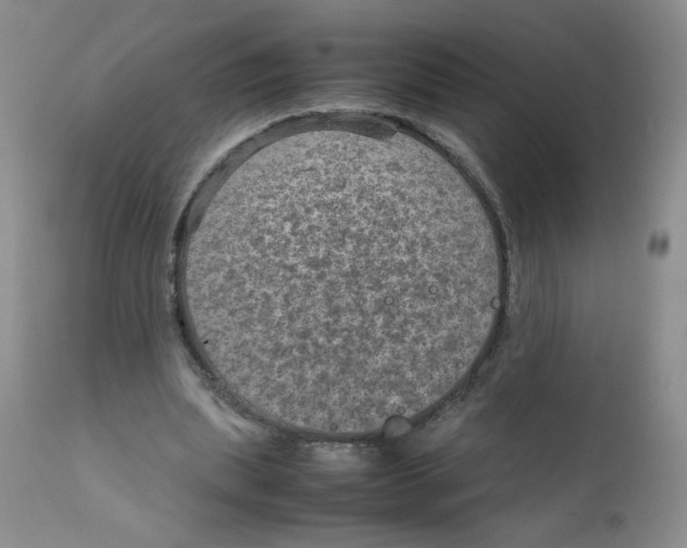 X0000111900439200908241006