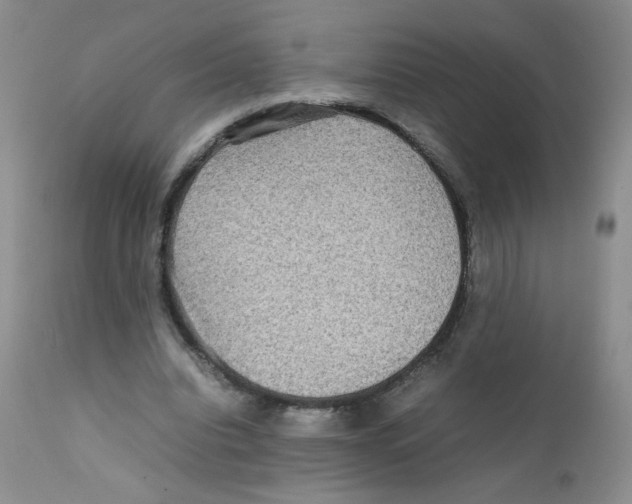 X0000111900440200908241006