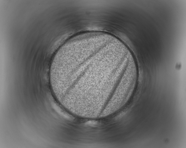 X0000111900441200908241006