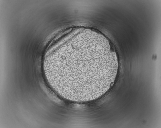 X0000111900442200908241006