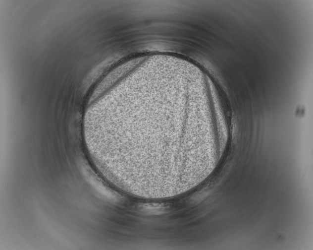 X0000111900445200908241006