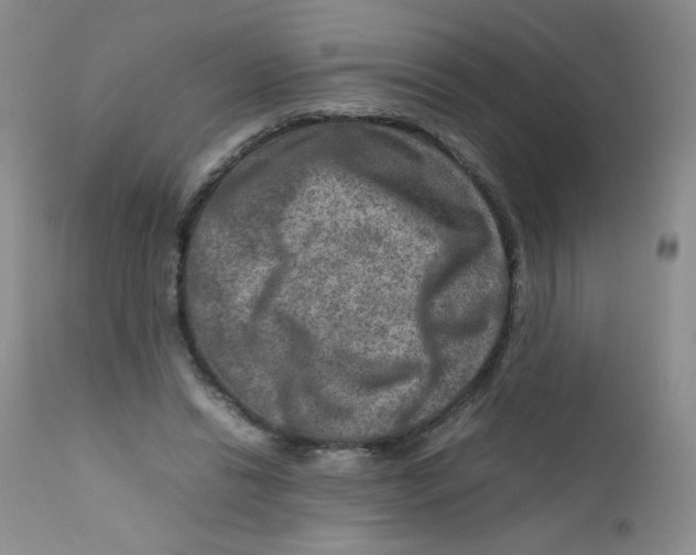 X0000111900446200908241006