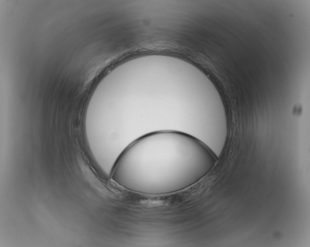 X0000111900448200908241006