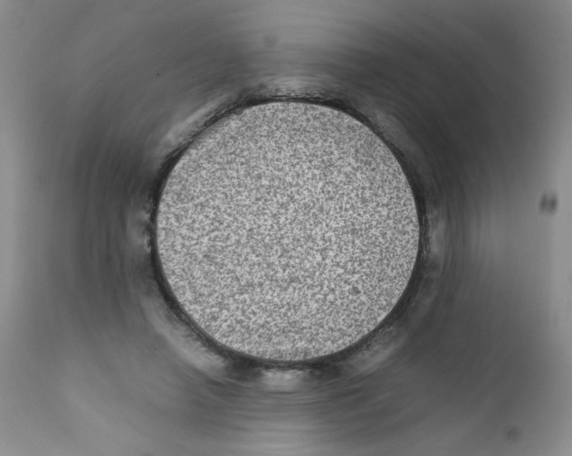 X0000111900450200908241006