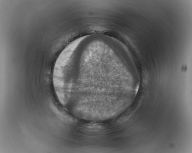 X0000111900451200908241006