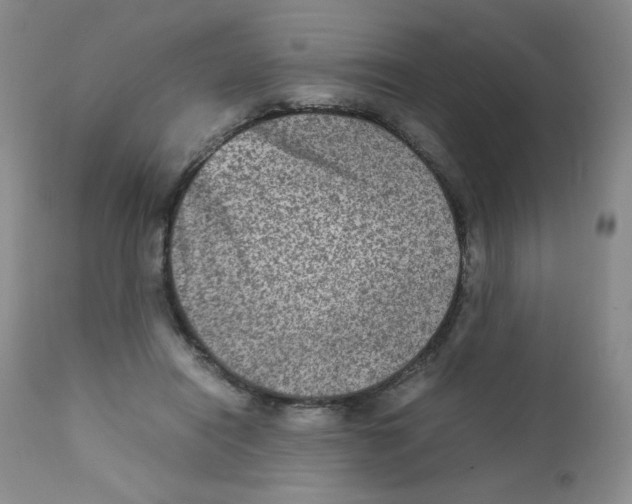 X0000111900454200908241006