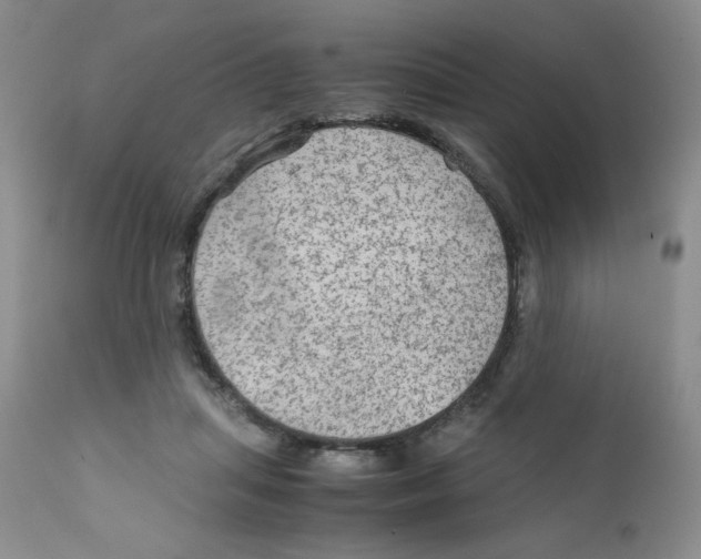 X0000111900455200908241007