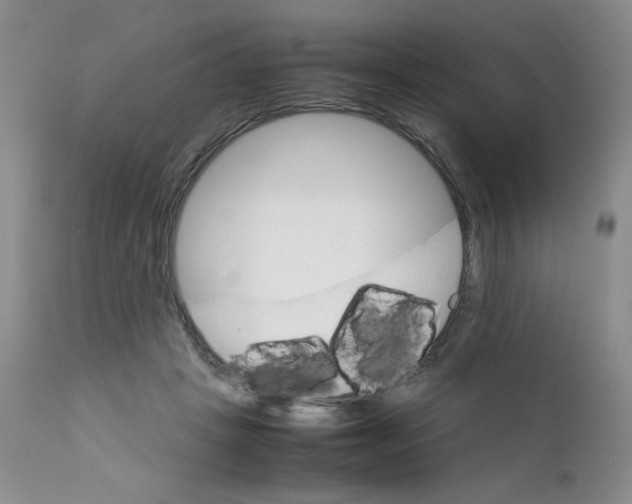 X0000111900457200908241007