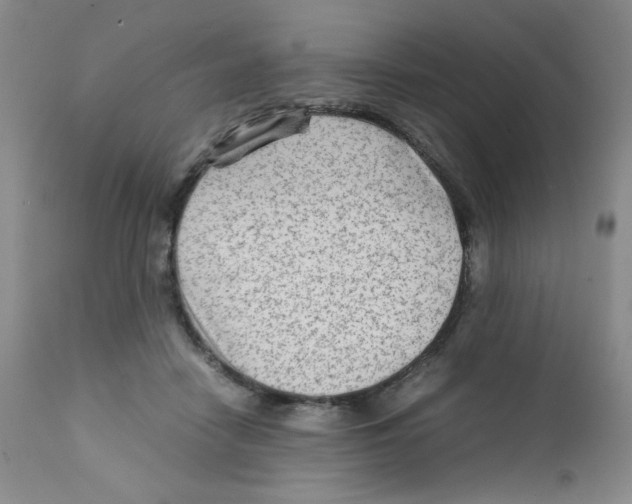 X0000111900458200908241007