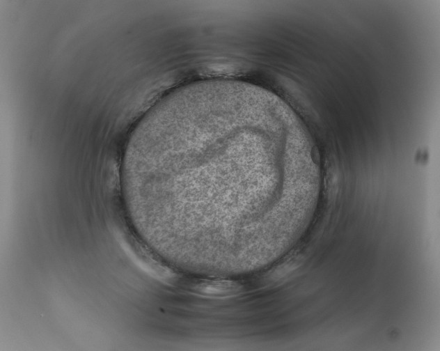 X0000111900459200908241007