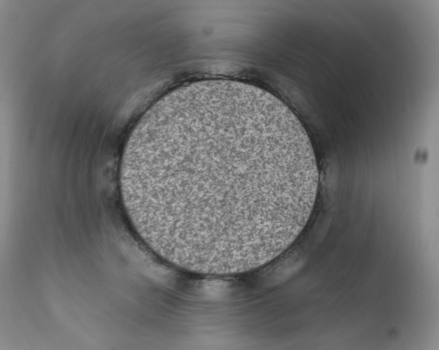 X0000111900462200908241007