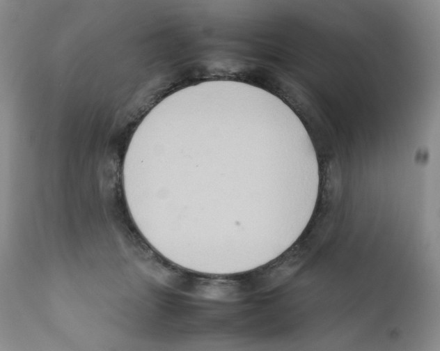 X0000111900463200908241007